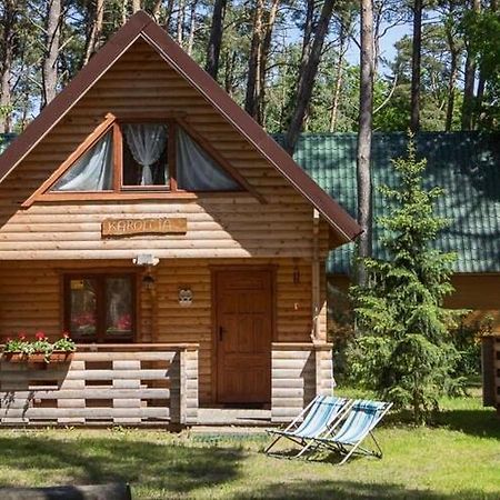 Spacious Holiday Homes Near The Beach In Pobierowo Bagian luar foto