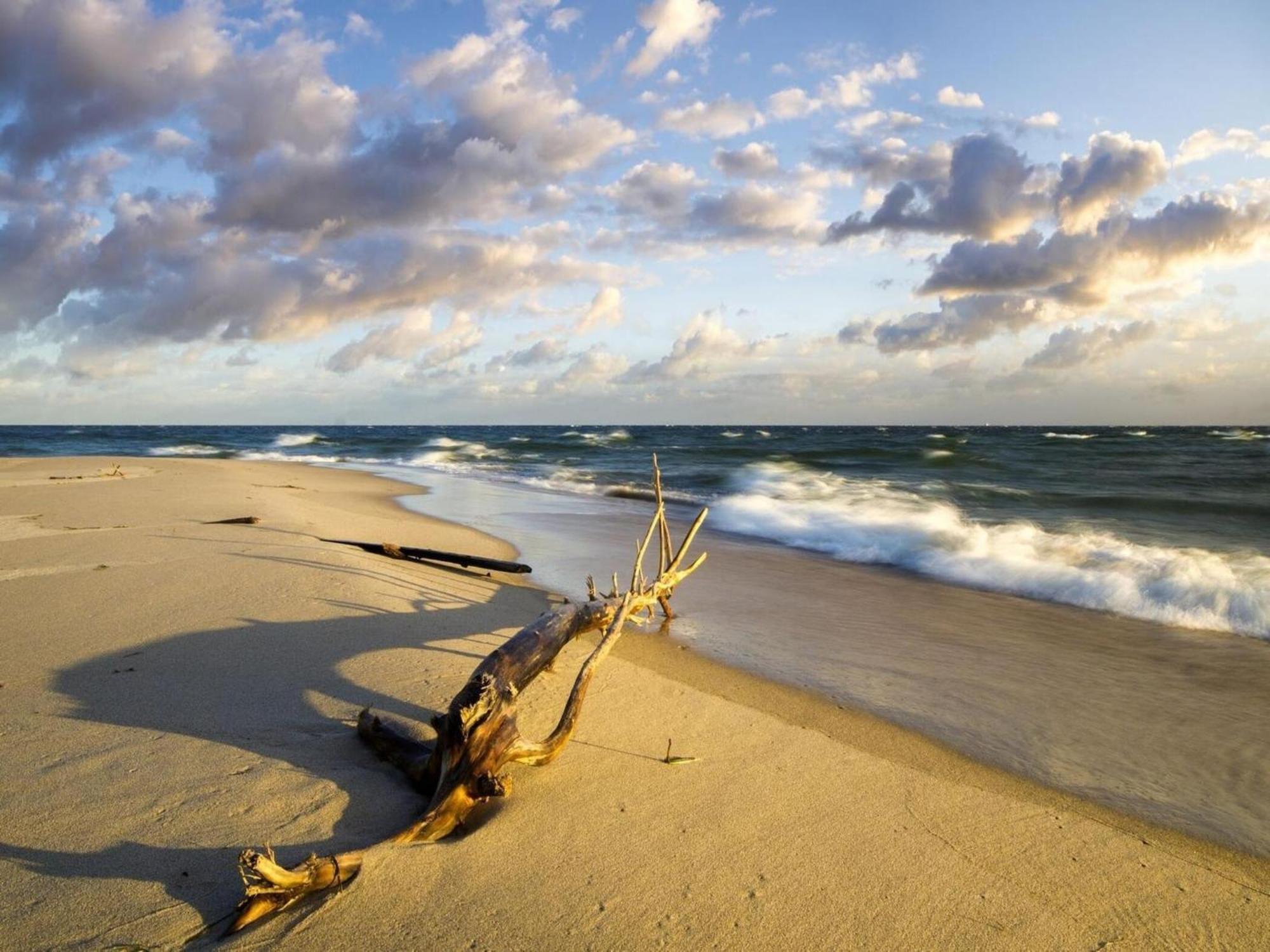 Spacious Holiday Homes Near The Beach In Pobierowo Bagian luar foto